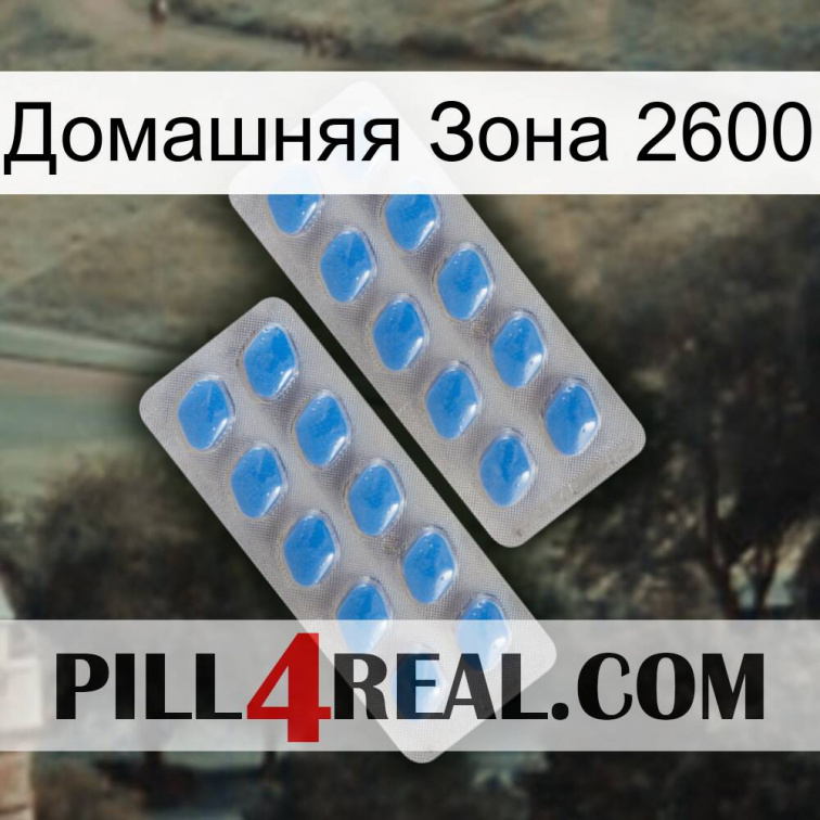 Домашняя Зона 2600 23